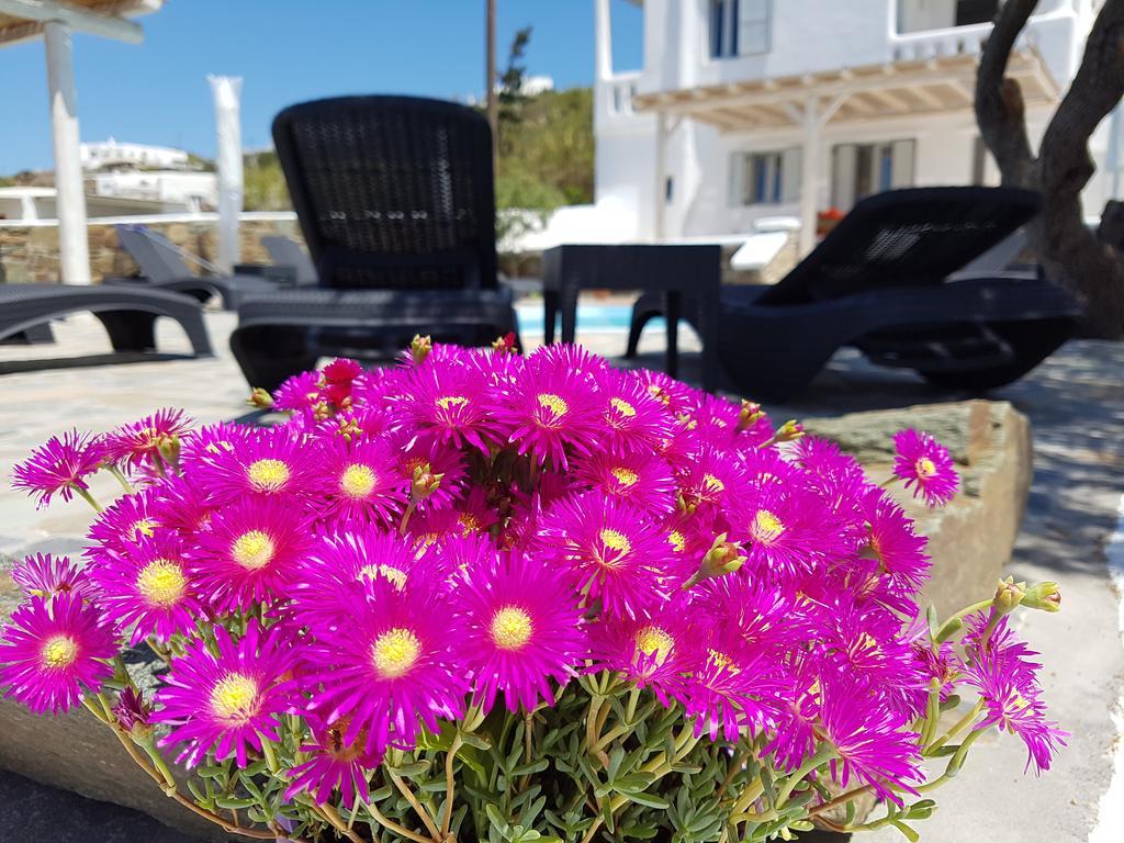 Mykonos Town Villa Varnali Small Boutique المظهر الخارجي الصورة